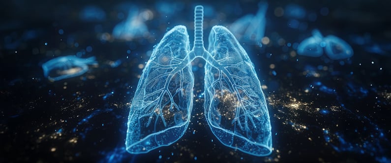 Lung---internal-image